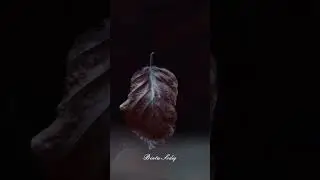 Ноўрин ғазаб қилманг