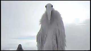 мем из 2027