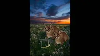 шлёпа каменщик