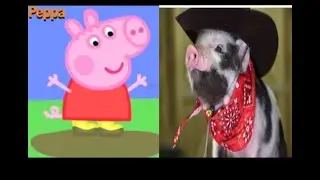 Peppa Pig | Characters In Real Life