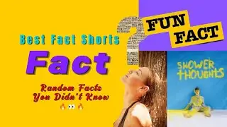 Random Facts You Didn't Know 🔥👀🔥