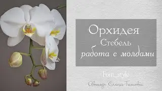 Обзор вайнера стебля орхидеи /МК Орхидея фаленопсис  / DIY Handmade Phalaenopsis