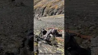 Охота на тура в Дагестане.#охота .