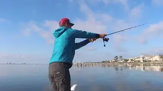 Taste Test Ep: 8 Sea Robin-Plus Inshore Fishing Fail