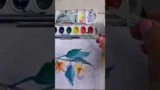 Floral Watercolors #watercolorflowers #flowerpainting #floral #watercolors #watercolorpainting #art