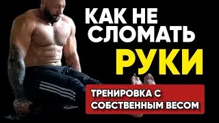 Bodyweight Workout / Calisthenics For Beginners