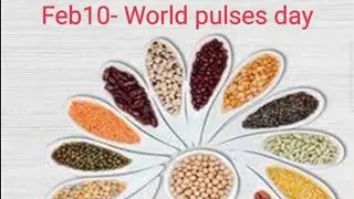 Feb 10-World Pulses day