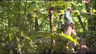 Хорошая комедия   Полный вперед!