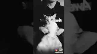 МАИ видео в Лайк(14)
