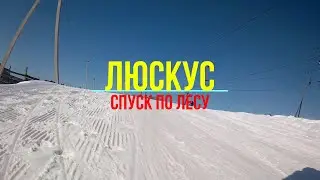 Люскус. Кемерово. Спуск по лесной тропе.