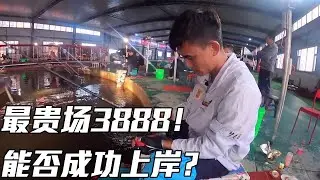 The most expensive fish I ever caught 3888 votes! Furiously pull the fish in the connecting rod!