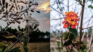 Micro photo shoot kese kare|| How to do micro photo shoot in motorala g54 5g||