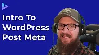 WordPress Post Meta in 10 Minutes | WordPress Metadata and Database Tutorial