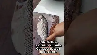 Reparando uma curimba para quebrar as espinhas perigosas.