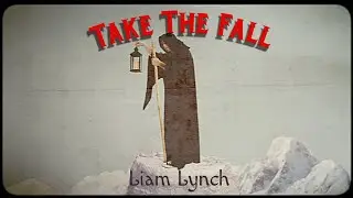 Take The Fall (Liam Lynch)