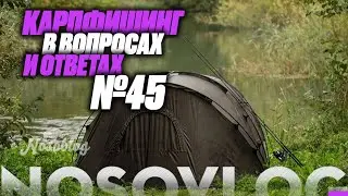 Карпфишинг в вопросах и ответах #45, Колесников А.