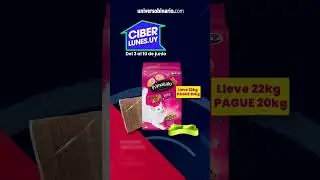 ¡Ciber Lunes en Universo Binario con descuentos para tu peludo amigo! 🐶🐱