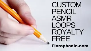 ASMR Pencil Write On Desk Custom Loops - floraphonic.com
