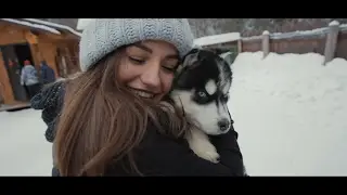 Катание на Хаски | г.Красноярск
