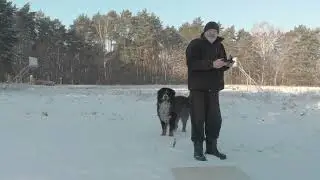 dji mavic air  minus 15 stopni