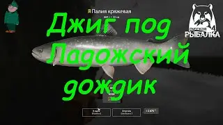 Русская рыбалка 4. Палия и судак на Ладоге на спиннинг