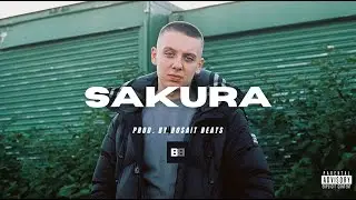 (FREE) Aitch Type Beat 2024 - SAKURA
