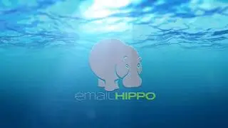 A guide to disposable email addresses (DEA's) by Email Hippo Part 2