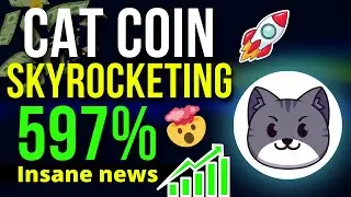 Cat Coin Skyrocketing 597% | CATS Token News and Updates!! | Cat Crypto News