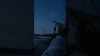 #охота #охотанагуся #охотанауток