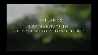 Peatlands - key habitats in climate mitigation efforts