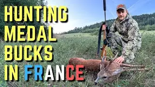 Roebuck hunting in France during the rut