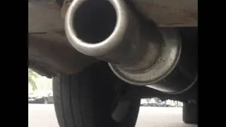 Китайский прямоток