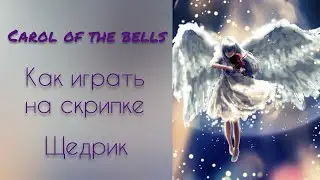 Carol of the Bells or Shchedryk. How to Play the Violin.