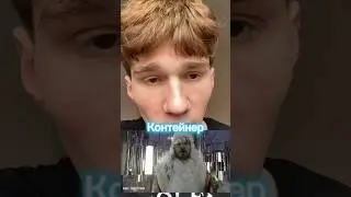 Группа контейнер куда пропали участники