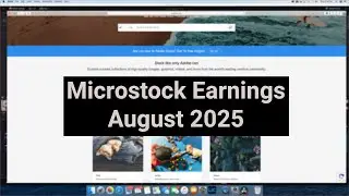 Microstock Photography Earnings | August 2025