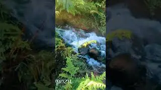 Каждой Мототрип это маленькая жизнь