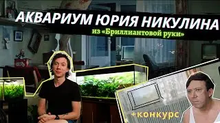Аквариумная рыбка Семен Семеныча Горбункова в старинном аквариуме