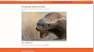 UserSpice Don't Care[OUTDATED] - See updated video in the description