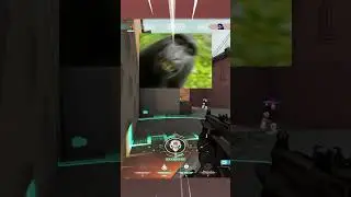 Monkey noises while im clutching... 🤣