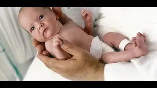 НКН. Стаханов бьет рекорды по рождаемости