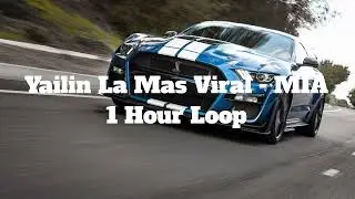 Yailin La Mas Viral - MIA - 1 Hour Loop