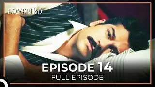 Lovebird Episode 14