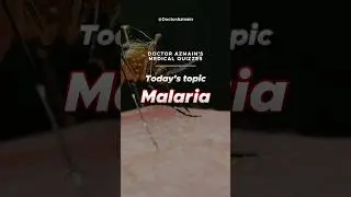 🦠🦟 Malaria Quiz! 🧐 Can you reach GENIUS level?! 💯 #medicalquiz