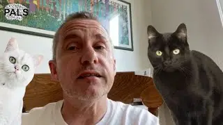 PALS at home video series - John Draper (Head of Admin at PALS)