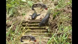 Amazing a man make fish trap and caught a lot of fish in cambodia