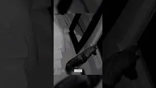 Псы ходили ЗА ДЕВУШКОЙ ДАЖЕ В ТУАЛЕТ😱🔥🐕