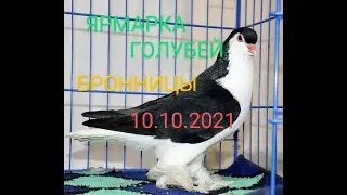 ЯРМАРКА ГОЛУБЕЙ. БРОННИЦЫ.10.10.21