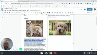 Using Suggesting Mode (Docs 101)