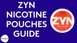 ZYN nicotine pouches guide