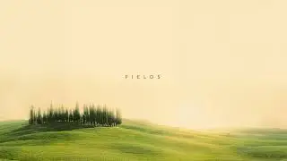 Fields - Simon Wester